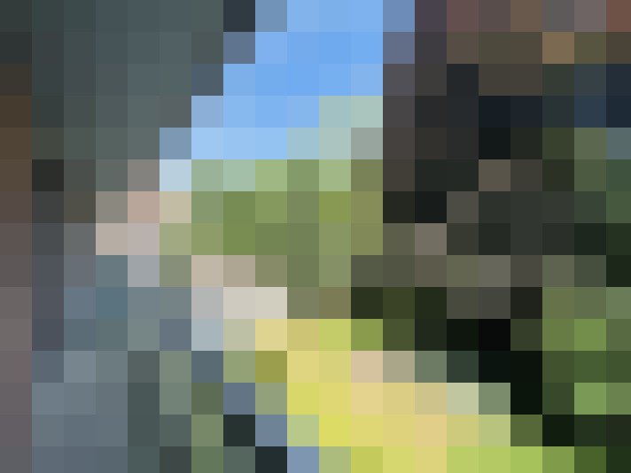 Image 15