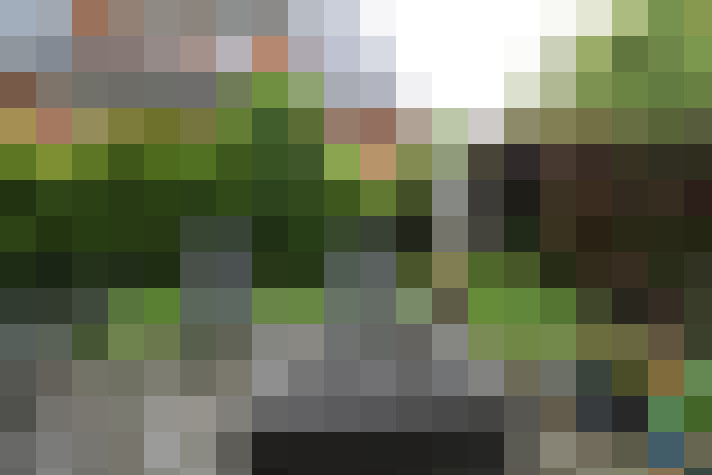 Image 23