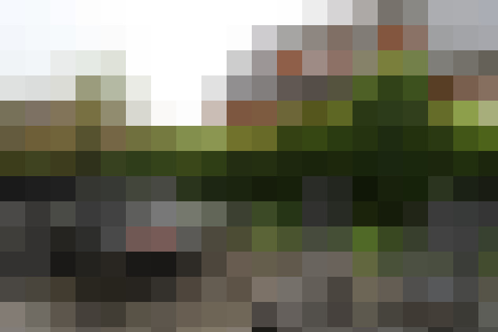 Image 25