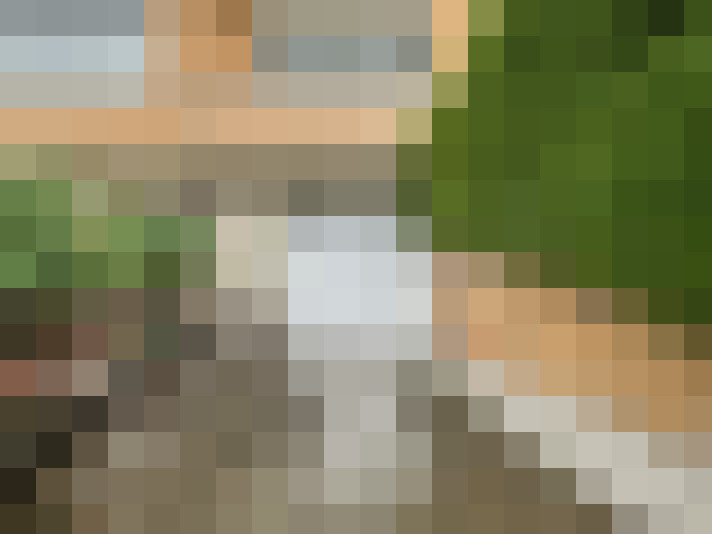 Image 13