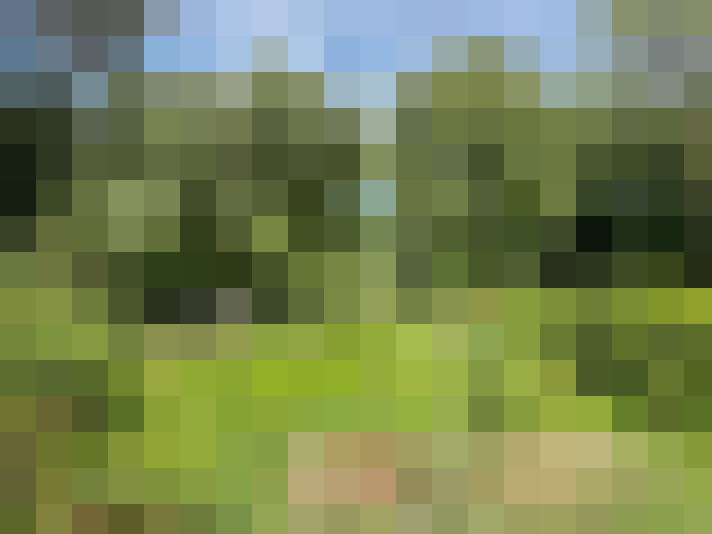 Image 17