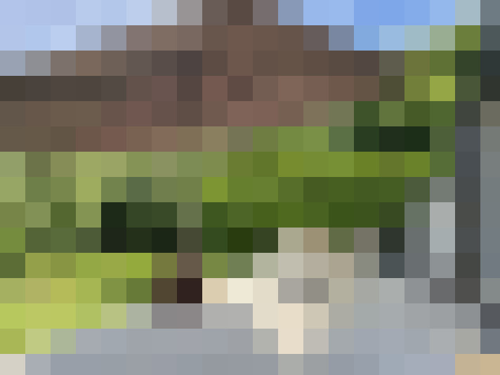 Image 14