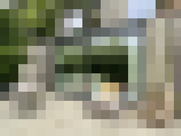 Image 15