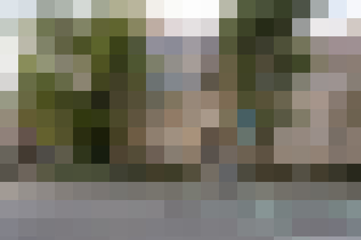 Image 17