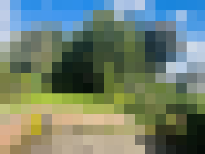 Image 22