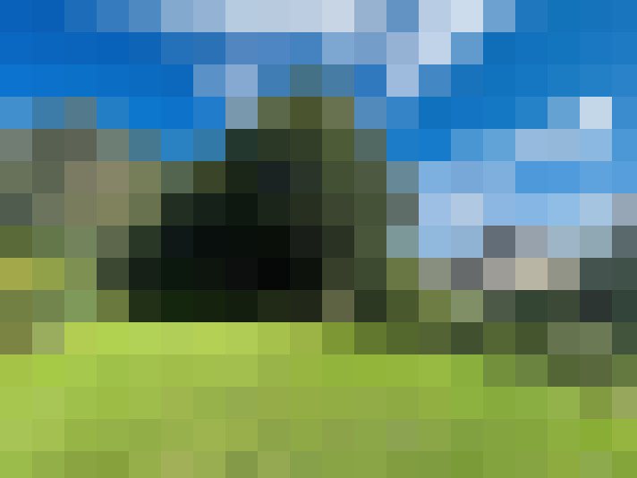Image 21