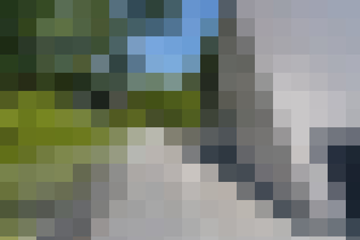 Image 16
