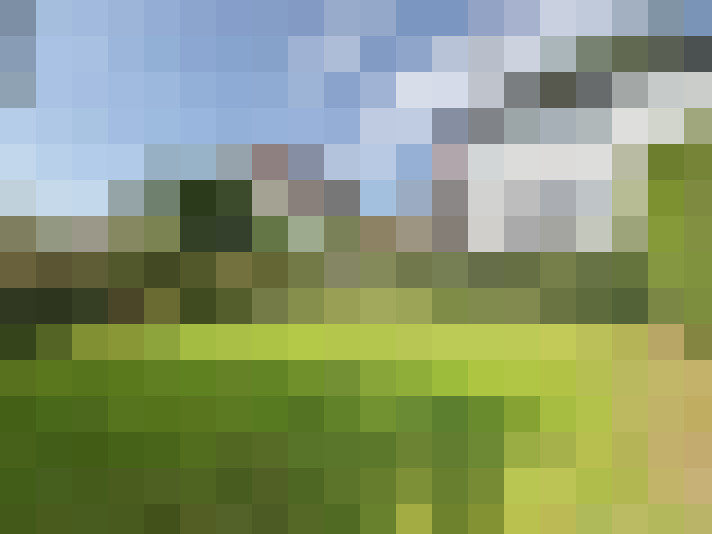 Image 18