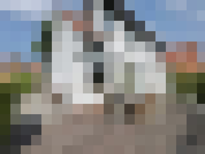 Image 17