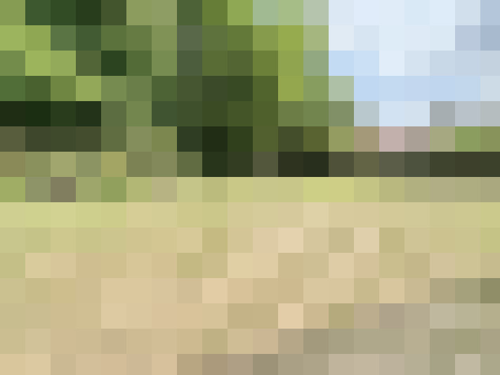Image 29