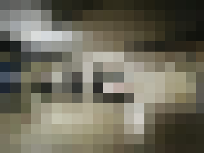 Image 20