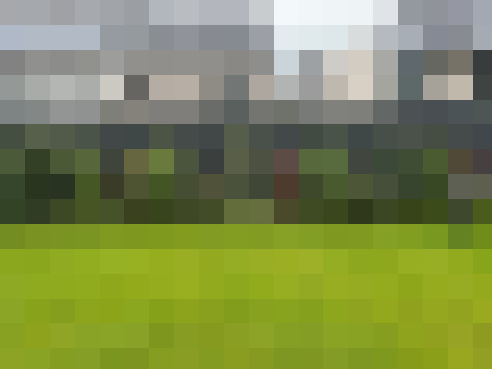 Image 29