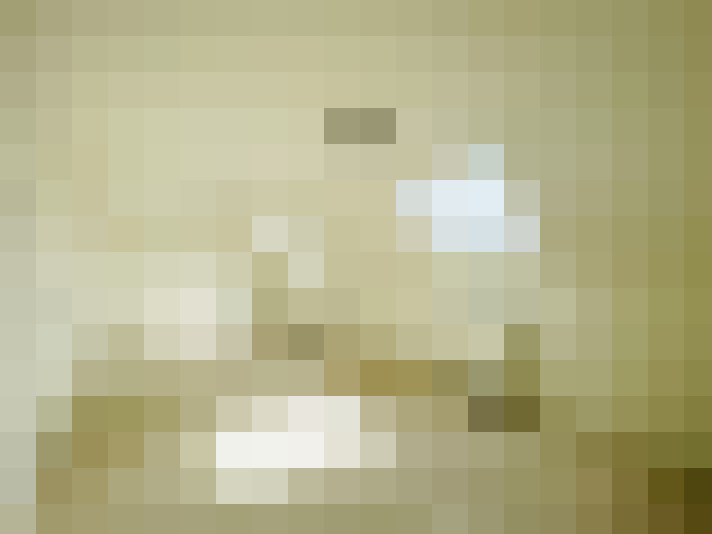 Image 22