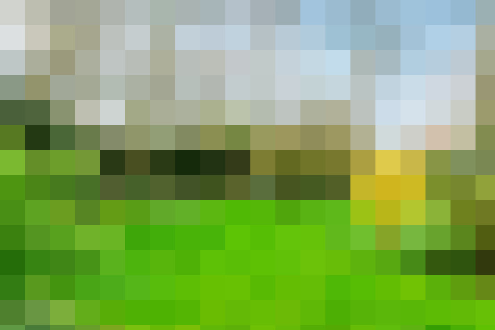 Image 16