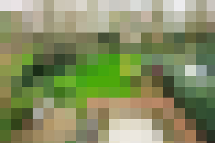 Image 27