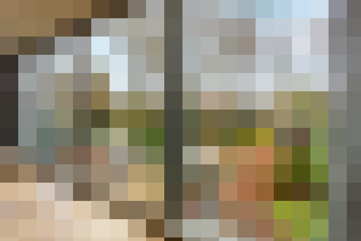 Image 13