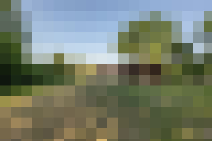 Image 15