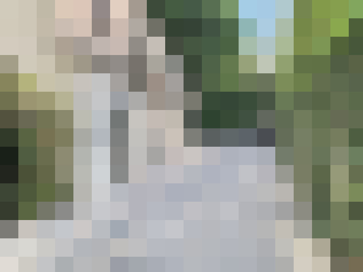 Image 17