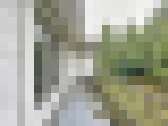 Image 14