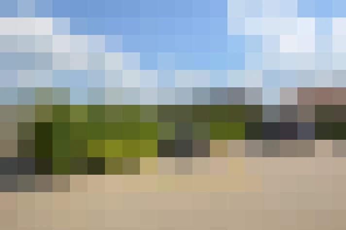 Image 15