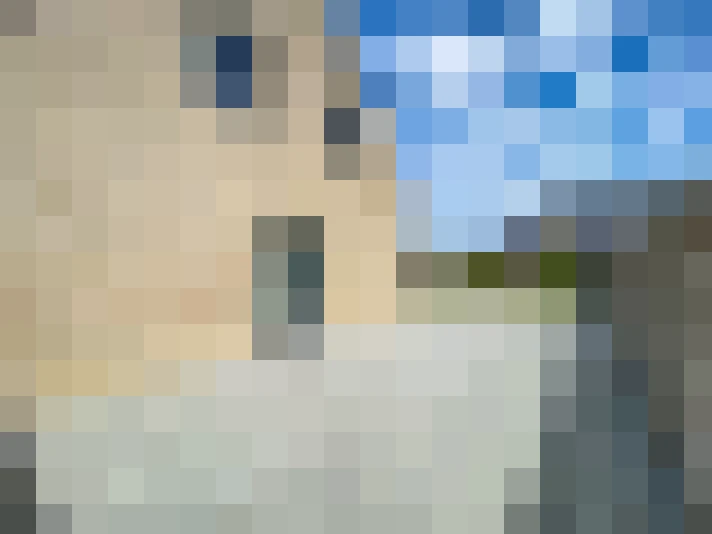 Image 22