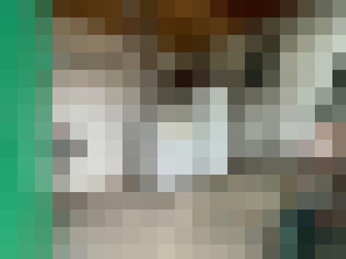 Image 13