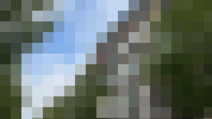Image 46