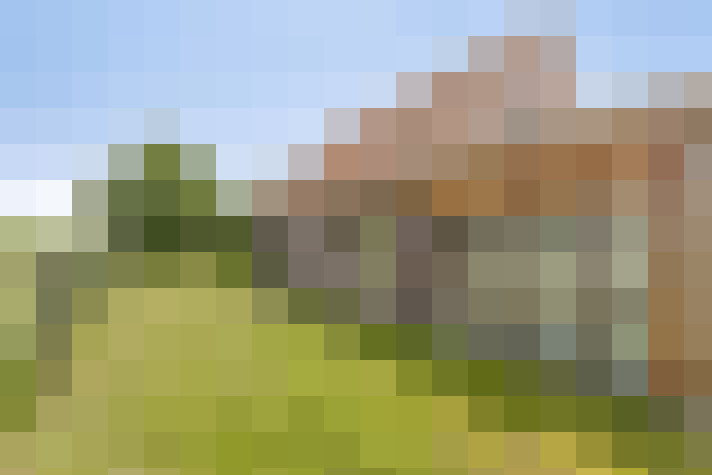 Image 23