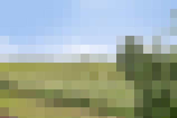 Image 25