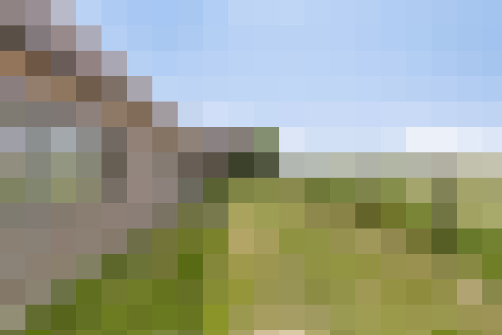 Image 24