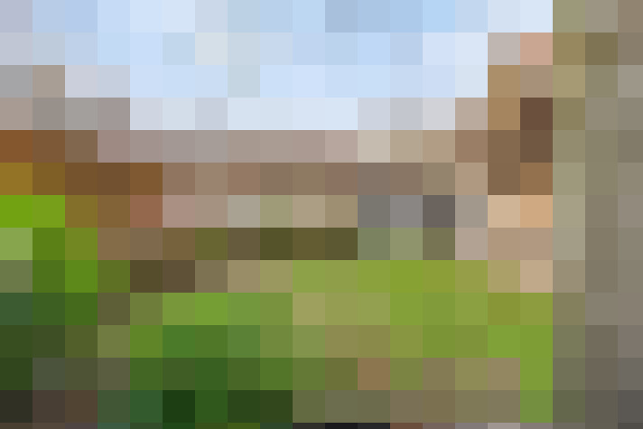 Image 30