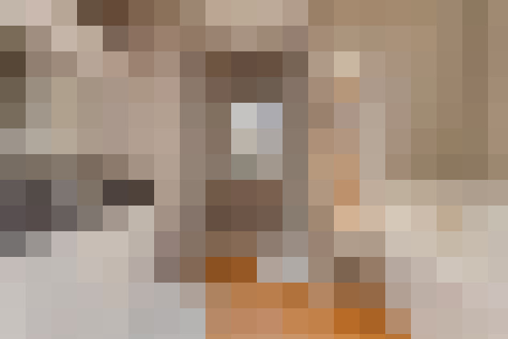 Image 26