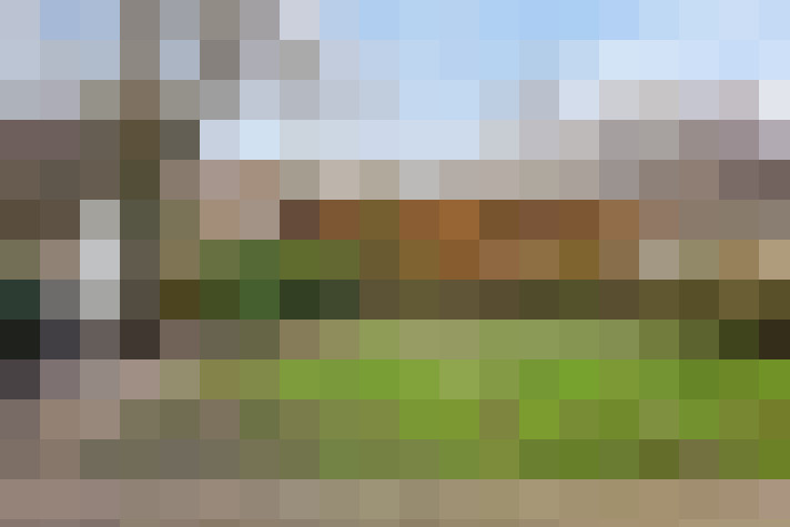 Image 15
