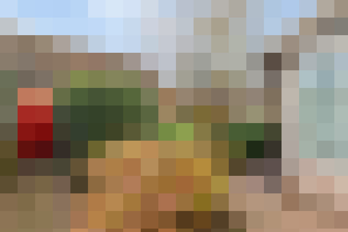 Image 17