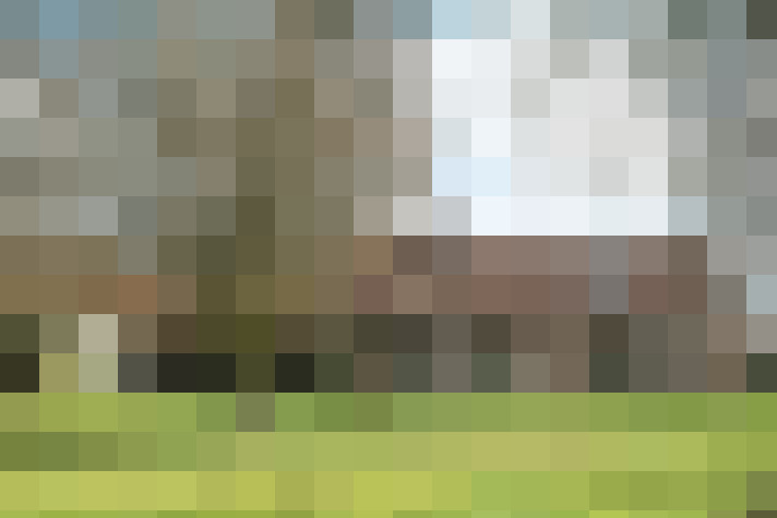 Image 22