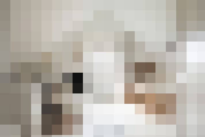 Image 20