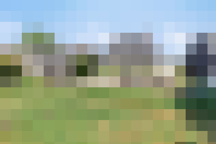 Image 14