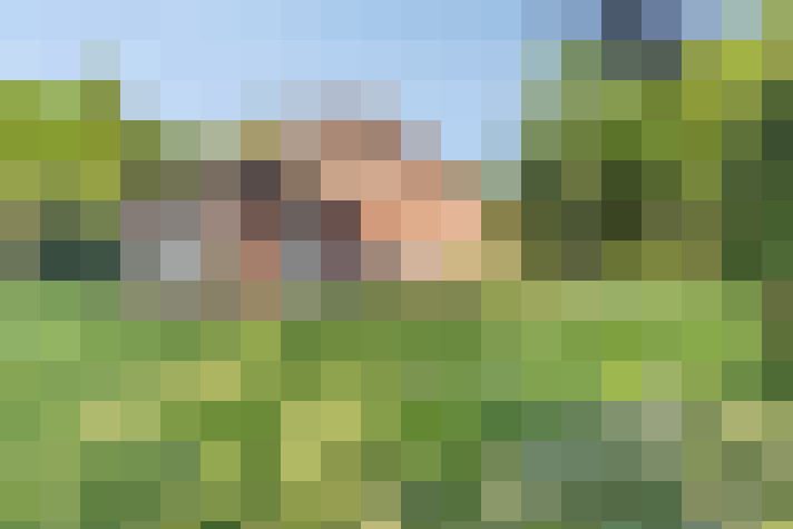 Image 32