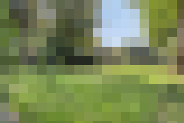 Image 29