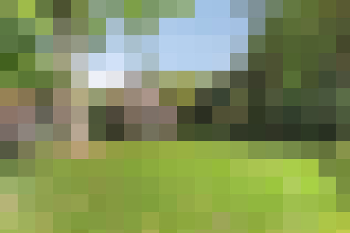 Image 30