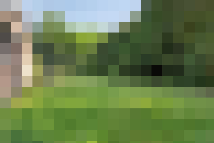 Image 31