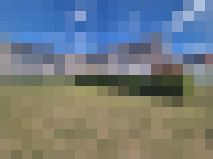 Image 26