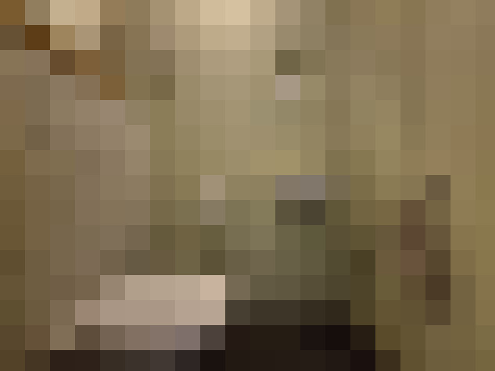 Image 20