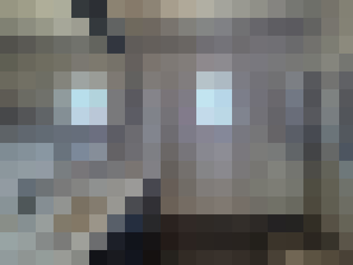 Image 19