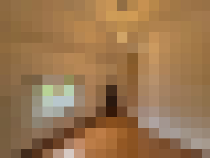 Image 33