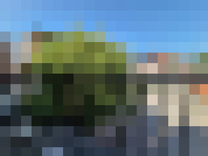 Image 20
