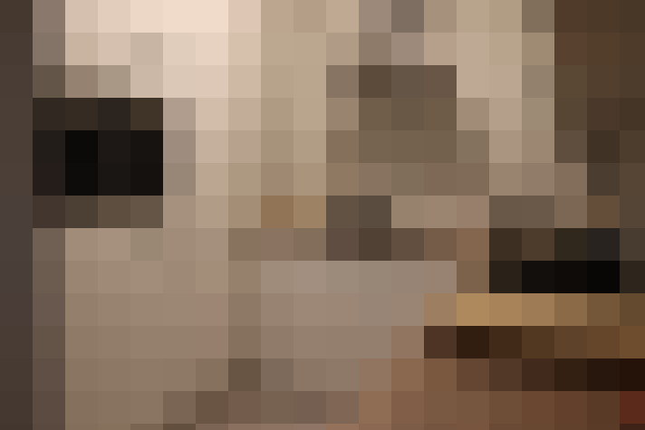Image 29