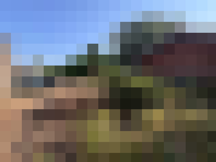 Image 25