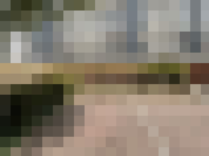 Image 13