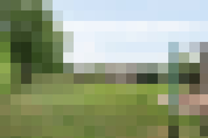 Image 16